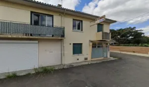 (EI) Venade Maria Luisa à Aureilhan