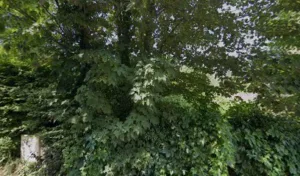 De Bernis Sylvie à Ferney-Voltaire