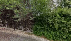 Lopez Viargues Nicole à Firmi