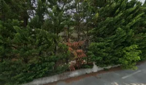 Ollivier Anne à Le Thor