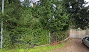 Lemaitre Agnes à Decize