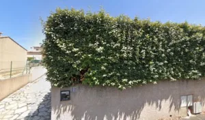 Gabet-Rodier Marie-Christine à Fabrègues