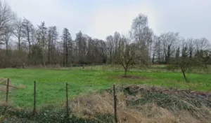 Pointin Clotilde à Corbie