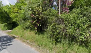 Poyet Pierrette à Blois