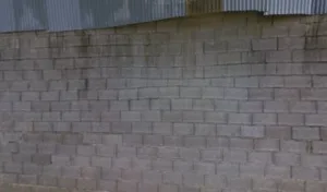 SCP Zarat Marguerite Et Brigitte à Saint-Broing-les-Moines