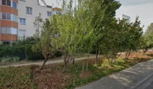 Perez Piveteau Stephanie Valerie à Blagnac