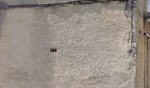 Kane Martine à Rochefort-du-Gard