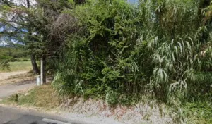 REYNET Matthieu à Saint-Christol-lès-Alès