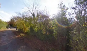 Viaud Marie-Anne à Treillières