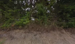 Vanden Bempt Sylvie à Guise