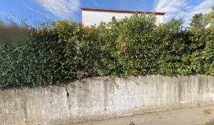 Cartayrade Béatrice à Juvignac