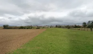 Violet Karine Celine à Jaunay-Marigny