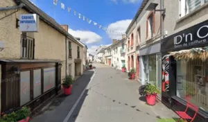 Lallemant Viviane à Bain-de-Bretagne