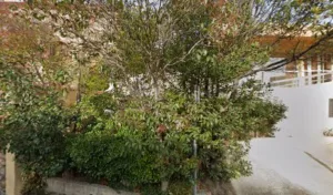 Christine Decamp à Ille-sur-Têt