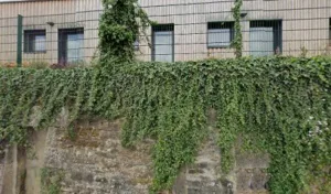 Cremieux Jean Renald à Aixe-sur-Vienne