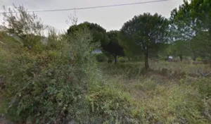 Lemaire Manoëlle à Calvi