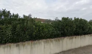 Chaumond-Daumas Chantal à Bouillargues