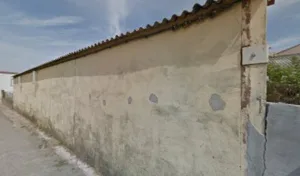 Catani Brigitte à Furiani