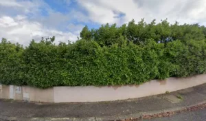 Curmi Jocelyne à Carcassonne