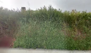 Servouze Corinne Aimee Clemence à Argenton-sur-Creuse