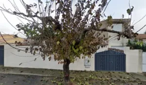 Grégoire Violaine à Milhaud