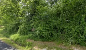 Petit Françoise à Salies-de-Béarn