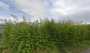 SELLA PIERRE ANDRE à Ploudalmézeau