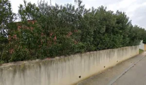 Champeau Sandrine à Bouillargues