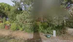 Loubet Sylvie à Bessières