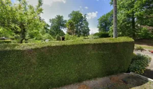 sandrine thomas à Salies-de-Béarn