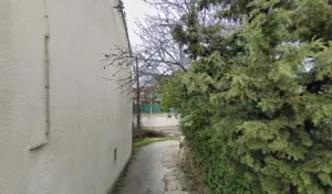 Ratone Jean-Luc à Marseille