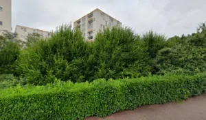 Sauvagnac Cyril à Limoges