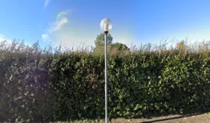 Darcheville Béatrice à Labastide-Beauvoir