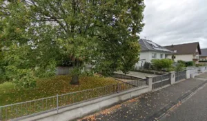 Heinrich Véronique à Drusenheim