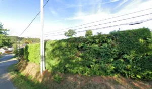 Gimay Nadia à Saint-Nolff