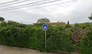 Buisson Cyril à Saint-Julien-les-Rosiers