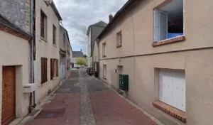 Vasseur Michele à Nogent-sur-Vernisson