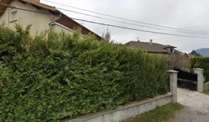 Basic System 05 à Gap