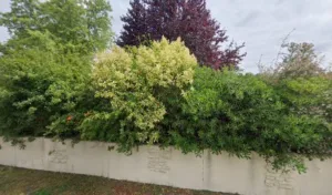 Iad Micro Plus à Sadirac