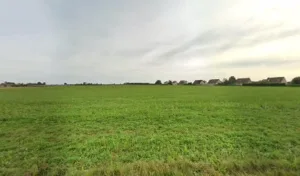 Perrin Renny à Cesny-les-Sources