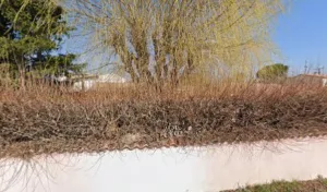 Jai Agnès à Saint-Marcel-lès-Sauzet