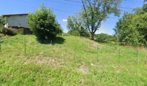 Terrien Marie-Hélène à Cognac-la-Forêt