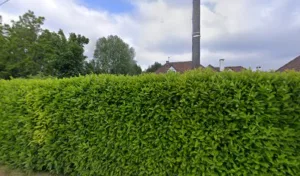 Decroocq Harteel Valérie à Tilques