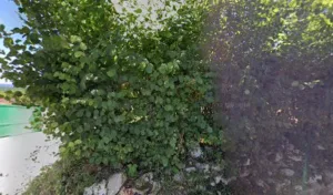 Rynois Jocelyne à Neuville-sur-Ain