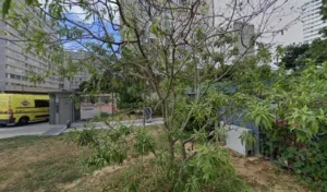 CHOULI SAADE INFIRMIERE à Paris