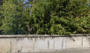 Accès Simple – Association à Vaulx-en-Velin