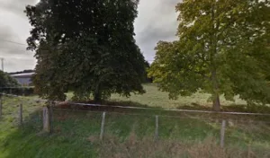 Petre Françoise à Fontenay-Trésigny