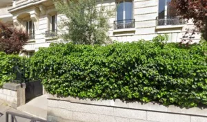 Voicinounou à Paris