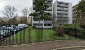 Pascu Florentina à Sartrouville