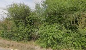 Barberot Isabelle à Le Mérévillois